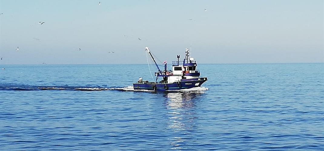 21 Kasım Dünya Balıkçılık Günü