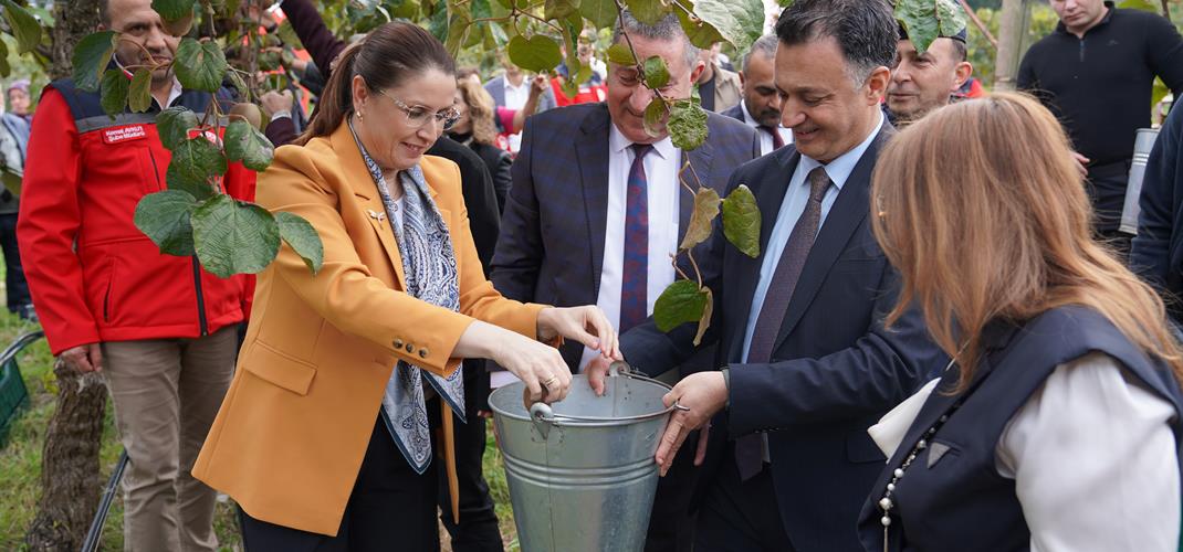 Terkehaliller’de Kivi Hasat Şenliği Düzenlendi