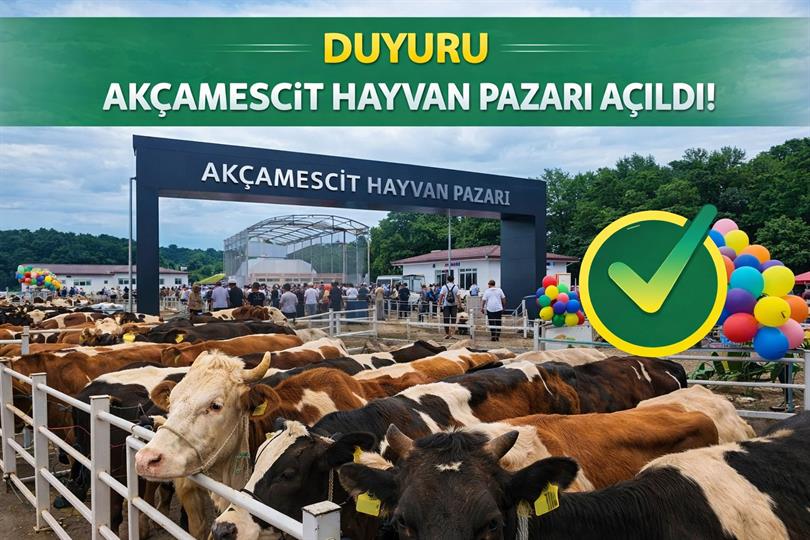 Akçamescit Hayvan Pazarı Açıldı