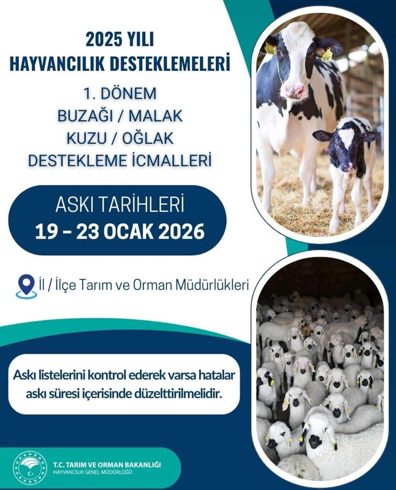 2025 Yılı Birinci Dönem Kuzu Oğlak, Buzağı, Malak Hayvancılık Desteklemeleri İcmali-1 İl/İlçe Müdürlüklerinde Askıya Çıktı